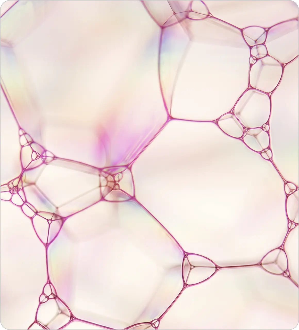 Microscopic view of autologous tissue ECM structure